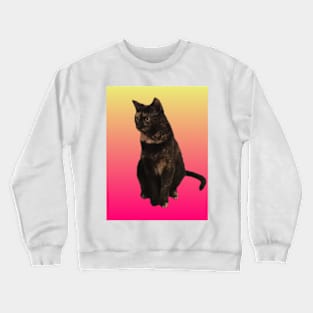 Pretty Little Tortie Crewneck Sweatshirt